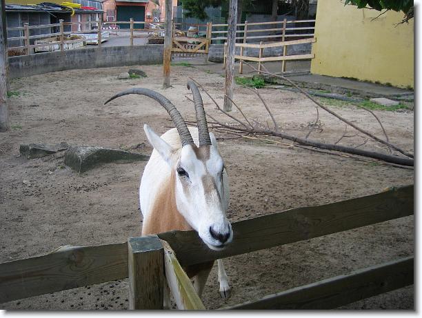 Diapositiva siguiente